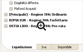 Divisioni